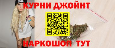гидра Заводоуковск