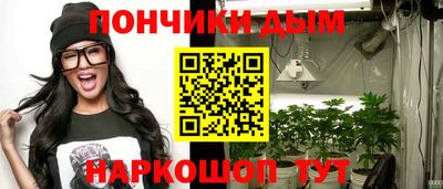 гидра Заводоуковск