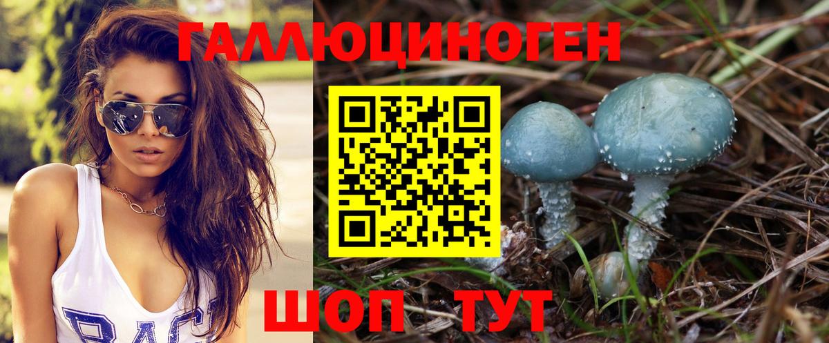 Галлюциногенные грибы Psilocybine cubensis  Вход с VPN  Брянск  Псилоцибиновые грибы ЛСД 